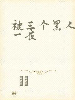 被三个黑人猛操一夜