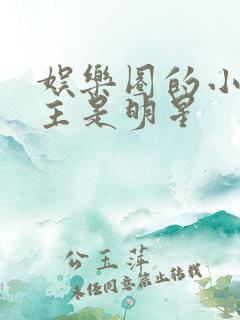 娱乐圈的小说女主是明星