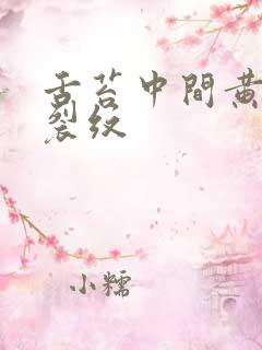 舌苔中间黄腻有裂纹