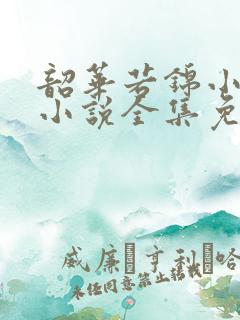 韶华若锦小豆蔻小说全集免费下载