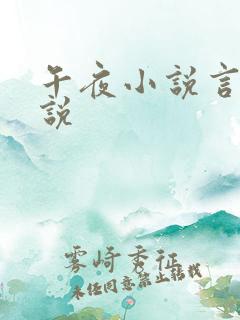 午夜小说言情小说