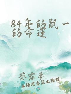 84年的鼠一生的命运
