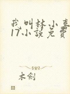 我叫林小喜今年17小说免费看
