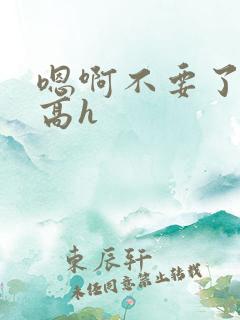 嗯啊不要了np高h