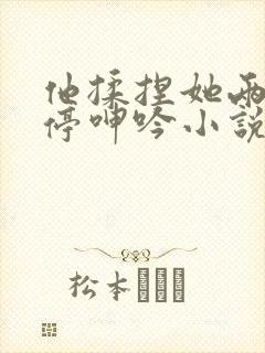 他揉捏她两乳不停呻吟小说