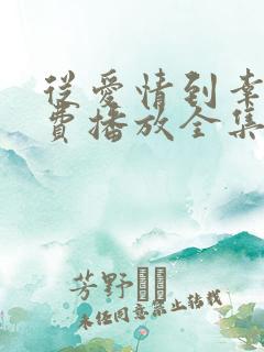 从爱情到幸福免费播放全集高清版电视剧