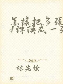 怎样把多张pdf转换成一张pdf