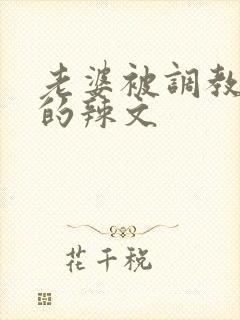 老婆被调教开发的辣文