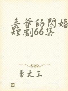 秦爷的闪婚娇妻短剧66集