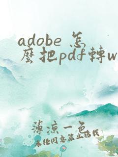 adobe 怎么把pdf转word
