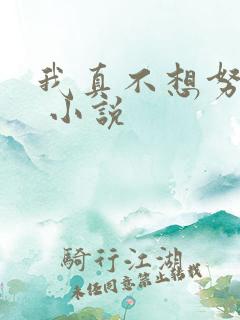 我真不想努力了 小说