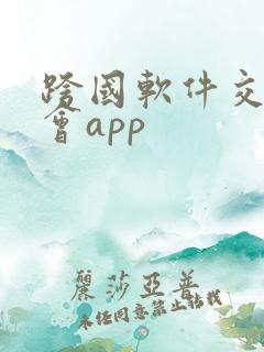 跨国软件交友约会app