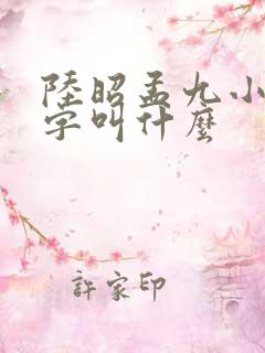 陆昭孟九小说名字叫什么