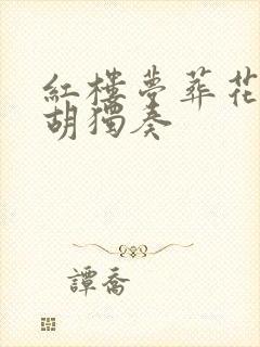 红楼梦葬花吟二胡独奏