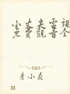 小丈夫电视剧剧免费观看全集