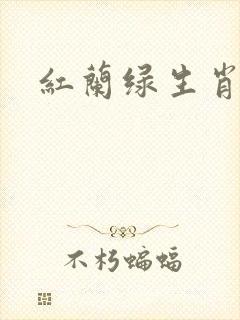 红兰绿生肖