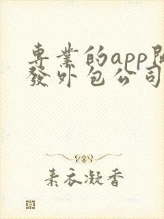 专业的app开发外包公司