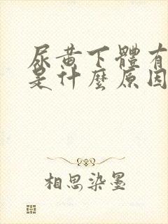 尿黄下体有异味是什么原因