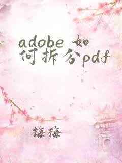 adobe 如何拆分pdf