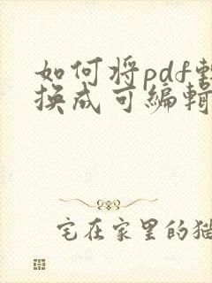 如何将pdf转换成可编辑的word