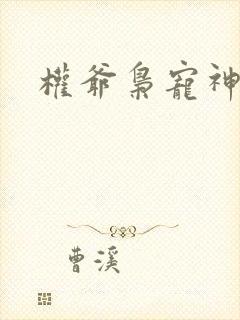 权爷枭宠神秘妻