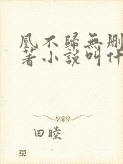 凰不归无删减原著小说叫什么名字