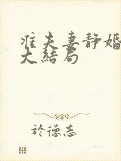 准夫妻静婚后续大结局