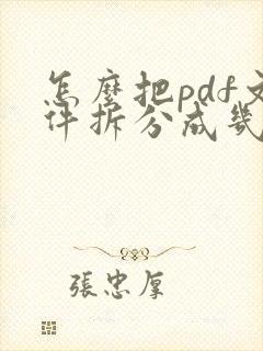 怎么把pdf文件拆分成几个小文件