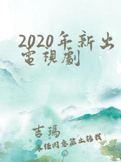 2020年新出电视剧