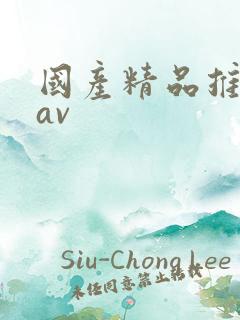 国产精品推荐 av