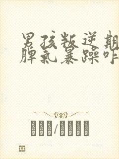 男孩叛逆期严重脾气暴躁咋办