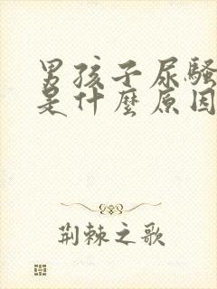男孩子尿骚味重是什么原因