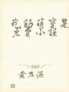 我的萌宝是僚机免费小说