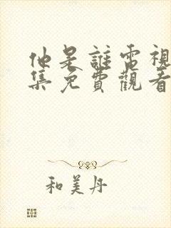 他是谁电视剧全集免费观看