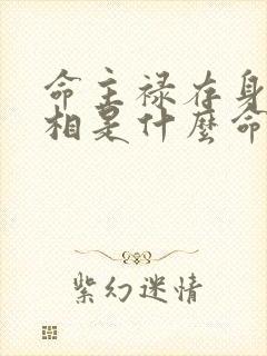 命主禄存身主天相是什么命格