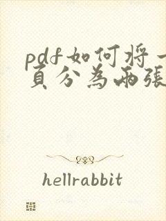 pdf如何将一页分为两张打印