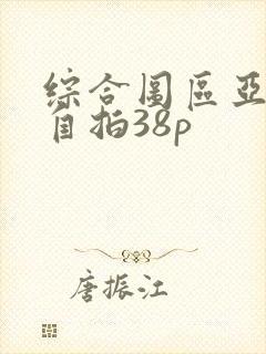 综合图区亚洲偷自拍38p