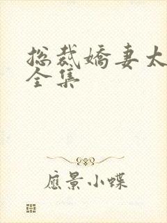总裁娇妻太甜了全集