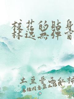 校花的贴身高手林逸无弹窗