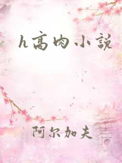 h高肉小说