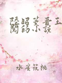 陆昭菱晋王周时阅的小说