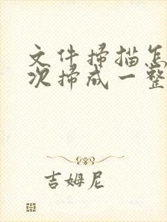 文件扫描怎么一次扫成一整个pdf