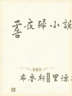 子夜归小说无广告