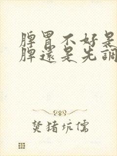 脾胃不好是先健脾还是先调胃呀