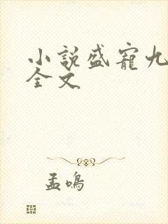 小说盛宠九皇妃全文