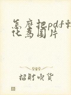 怎么把pdf转化为图片