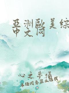亚洲欧美综合色中文网