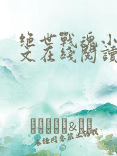绝世战魂小说全文在线阅读
