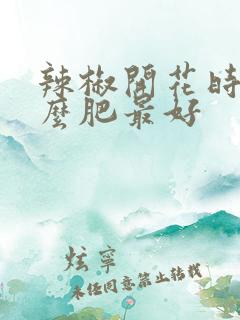 辣椒开花时施什么肥最好