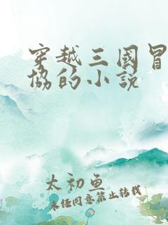 穿越三国冒充刘协的小说